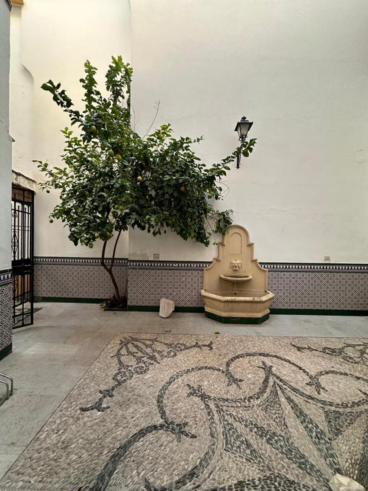 Appartement Au Centre De Gordoba Córdoba Eksteriør billede